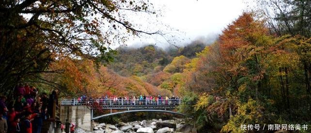 四川的这个地级市, 消费水平直逼成都重庆, 却还是个五线城市