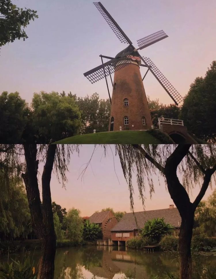 拒绝人多从众:在街巷漫步中感受秋日南京的美!