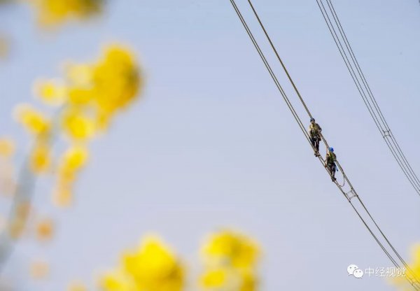  「花儿」你和花儿，一样美！