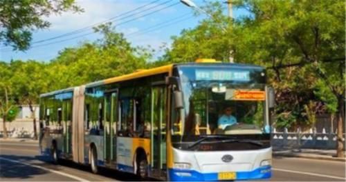  大巴@为什么明明高速上有服务区，有些跑长途的大巴司机还要下高