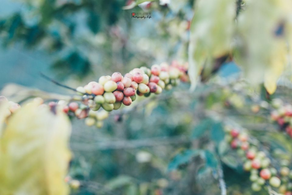 南美川藏线，每年死亡上百人，上万游客慕名而来寻求刺激