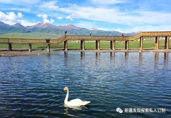 去了北疆才知道，中国有多大；去了南疆才知道，中国有多美