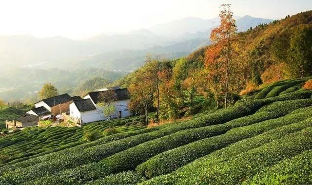 有这样一个世外桃源，藏着皖南最美的古村落！