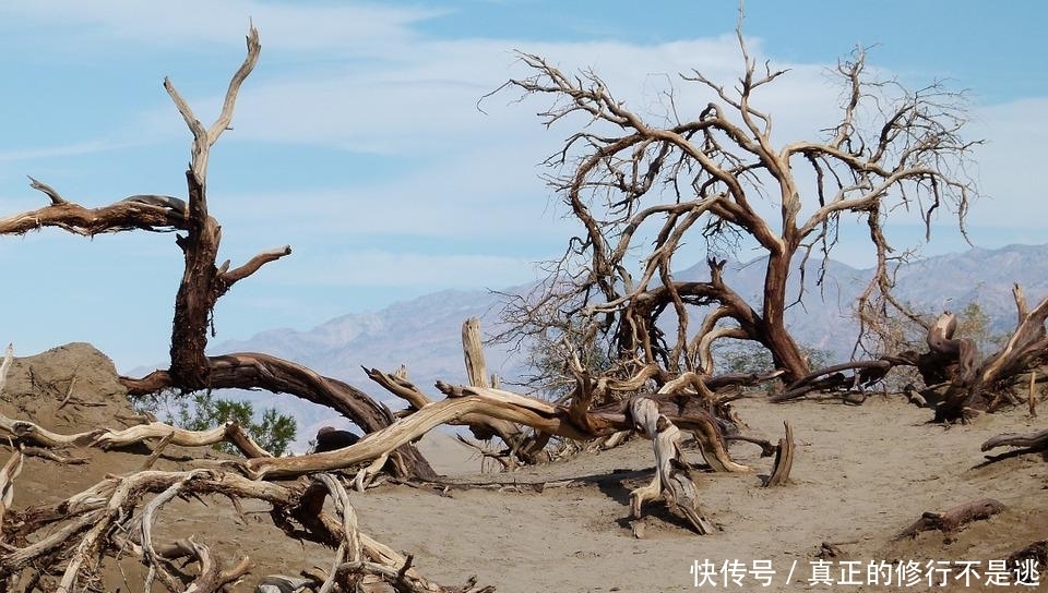 全球唯一“被保护”的沙漠，为防止沙漠变绿洲，还特地往里填沙子