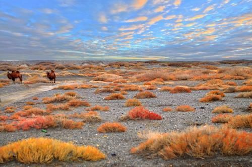  #生态#价值1万亿的咸水湖，却是中国西部沙尘暴源头之一，生态问