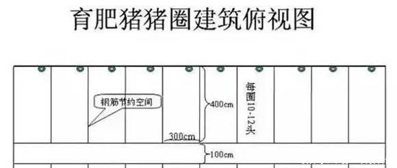  猪场建设：在农村办个养猪场，该怎样科学建设好？听听专业人士