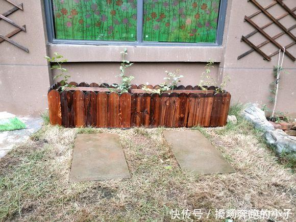 「李小姐还」她将荒芜的后院,改造成最美花园,完工一年后,让人惊艳