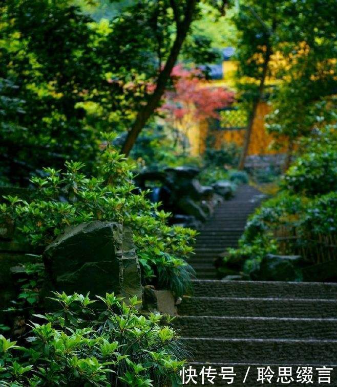 读一首诗李涉《题鹤林寺僧舍》,失意时,