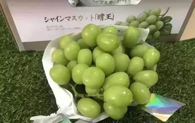  #阳光#“阳光玫瑰”葡萄在日本卖天价，引种中国为何跌下神坛？