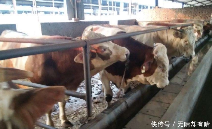 近几年，农民可领这3项补贴，补贴金额可能比粮补的还多