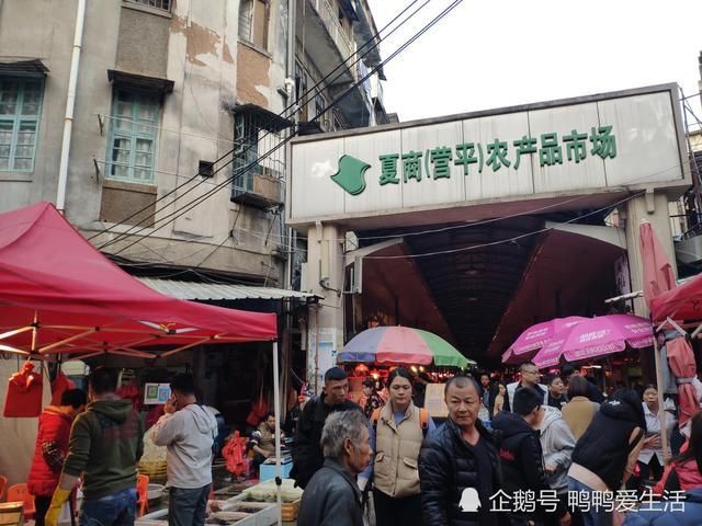 厦门年味最浓的地方，谢霆锋潘玮柏打卡，本地人又爱又恨