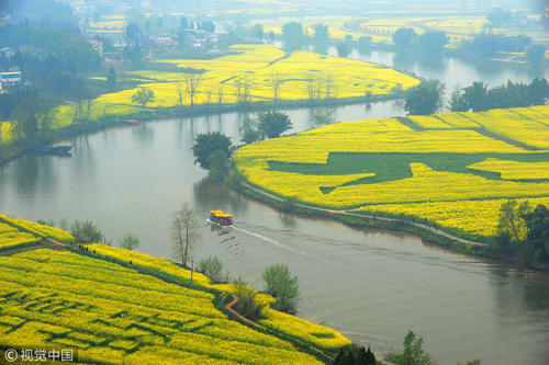 油菜花“开工大吉”？错峰休假去看春天第一拨花海