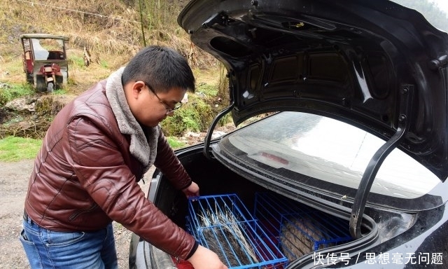  小孙@80后男子放弃高薪，回老家投资35万养“稀罕物”，年入200