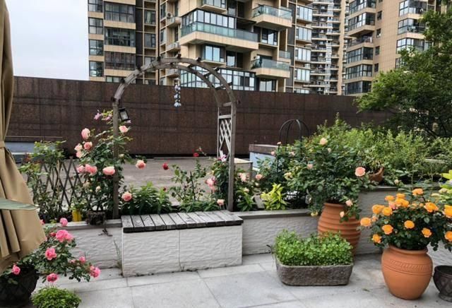  『露台花园』造花园，一定不能少这3种花，每一种都是当之无愧的开花机器！