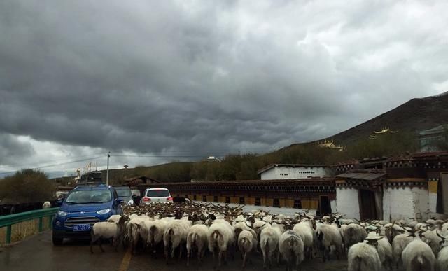 我们来算一笔账: 四个人一辆车, 自驾川藏线究竟要用多少钱?