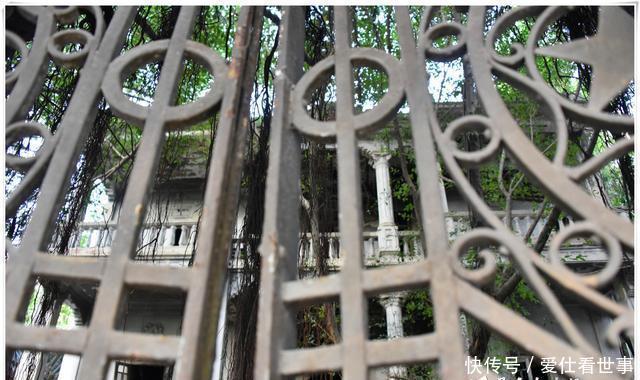 「鸽子」顶澳仔猫街撸猫、白鹭洲喂鸽子,厦门文艺之旅,去过才算没白来!