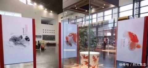  「陪您」400条中国金鱼组团进京，只为陪您过个吉庆年