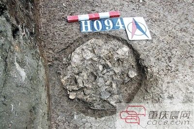 5000年前重庆人的生活场景 像不像让你羡慕的世外桃源