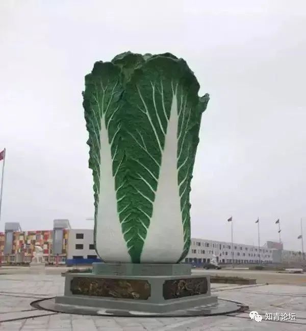  [一大]各省市新出现一大“怪现象”，99%的人没见过！