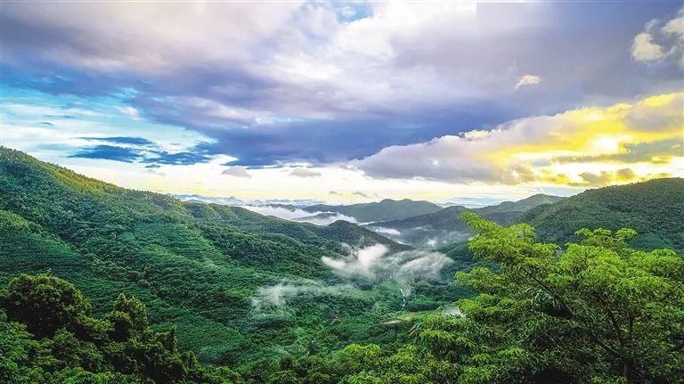  「热带雨林国家公园」海南自贸区(港)建设进行时:为生态更美而“留白”