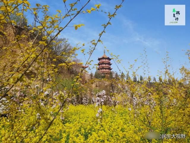  「复兴」映像旅发：春游复兴掠影