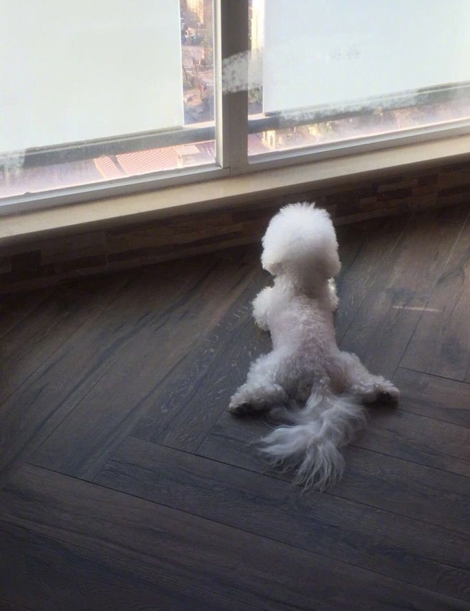 赵丽颖力破怀孕传言，而我只注意到了这个东西!