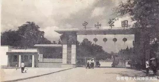 一组中山公园老照片，是否有你熟悉的身影、美好的回忆！