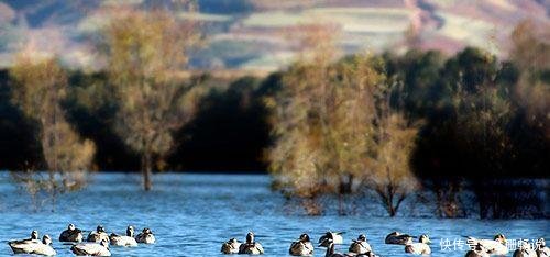 湖北到云南将迎来一条铁路, 途经9省市, 沿线城市有你的家乡吗