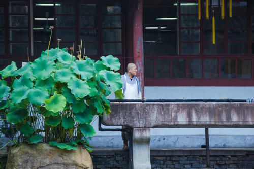 隋代古刹国清寺，浙江最良心的寺庙，地位比灵隐寺还高却少有人知