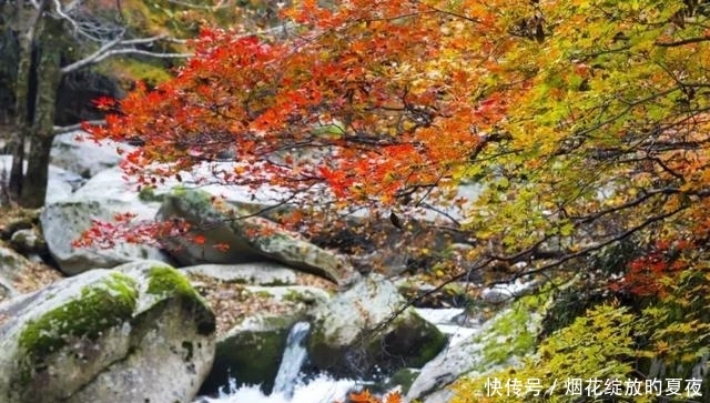 9月来袭！彩林红叶齐绽放，快让国内这6个地方承包整个秋天