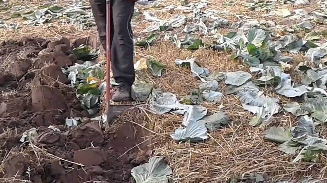  「农村」外国农村老大爷发明新型铁锹，效率提升5倍，10块钱造一