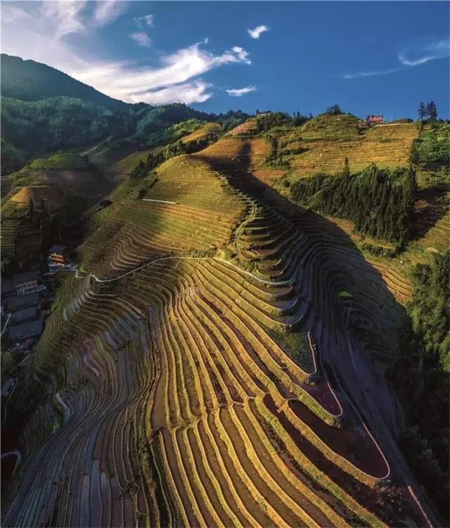 她们都嫁给了农民，但城里人还追到大山里