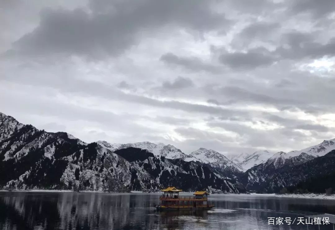 距乌鲁木齐仅1.5小时，海拔1900米的高山上藏着冬日最美的新疆！