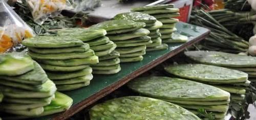  【国家】仙人掌当“零食”，签子窜起来烧烤，也不怕刺扎嘴，你吃过吗