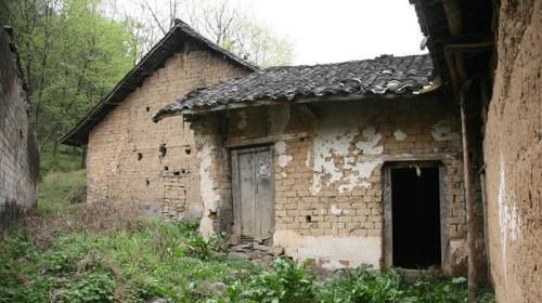  老农@农村刚出了新四害,如今又来了四大怪,老农对此很不理解.