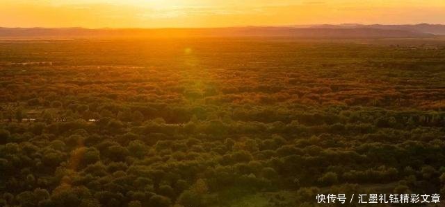 中国突厥人与外国突厥人的最大不同一个信萨满教一个信伊斯兰教