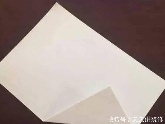  『扦插』养护神器：塑料瓶千万别扔，用来养花用处多