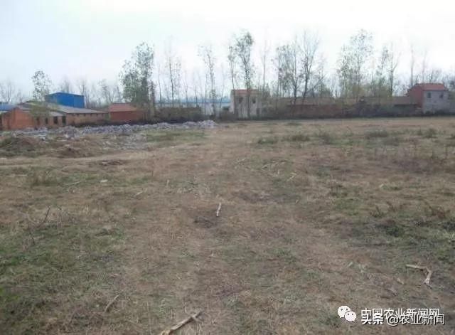 大量农民涌入城市，农村荒废土地不断增加，国家出台政策扶持农业