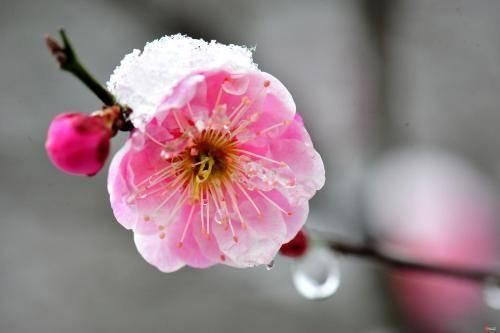  点左右@22条预警！山东多地迎来雨夹雪！济南这里的雪最大