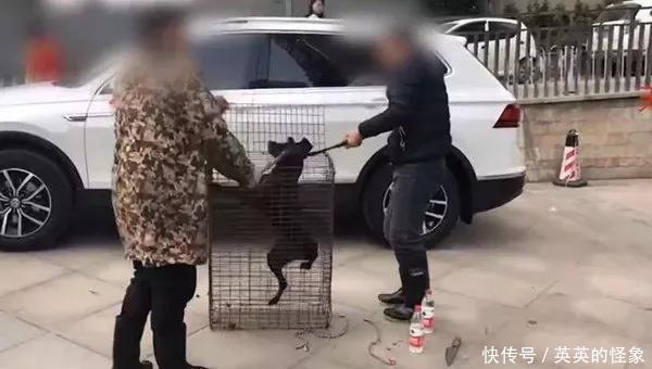 湖南一男子杀狗祭新车，现场有说有笑，称这样可以保平安！