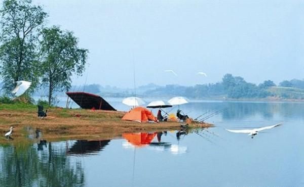 水库野钓，最藏鱼的6类绝佳钓点