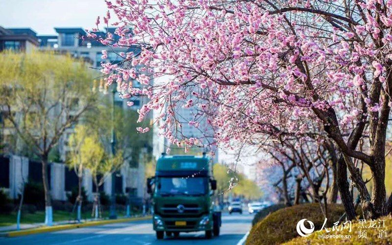  告别@【组图】哈尔滨告别“假日”雨雪天气 5月6日最高气温将再次回到20℃