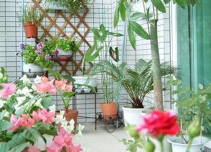 「活得」怎么养才能让鲜花活得更久点?