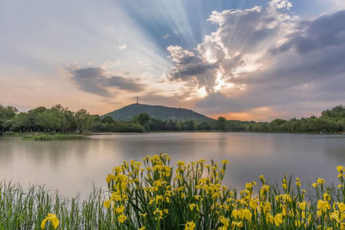 安徽人气很高的一处公园，是国家级森林公园，是合肥城区内最高点