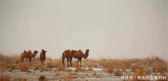 我国最高价的景点门票价格达3500元,有钱未必敢去