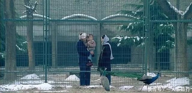 安阳一处宅院,慈禧光绪都曾来下榻过,富丽又庄严