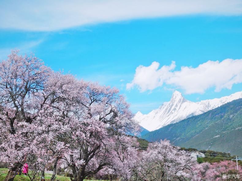  [遗憾终于弥补回来]五朵金花的318川藏线之行。。。。。。