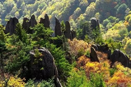 秦岭私藏2条自驾公路，秋季美成天堂，霸占北方最绚烂秋景