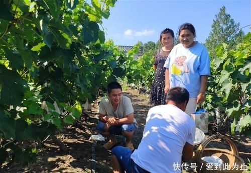  「亩葡萄」城里生意难做，农村人回老家种葡萄，当初信心满满，