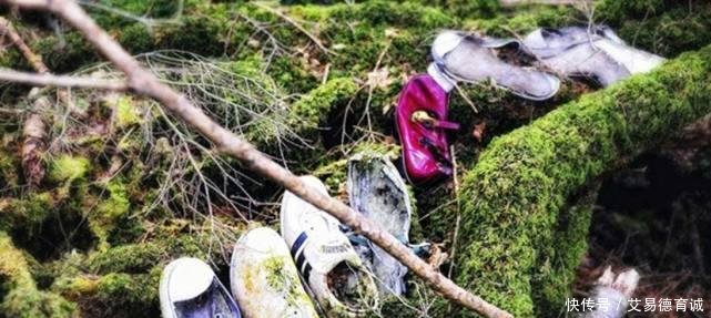 日本富士山暗藏“自杀名所” 50年来找到上千具尸体